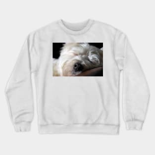 Westie Crewneck Sweatshirt